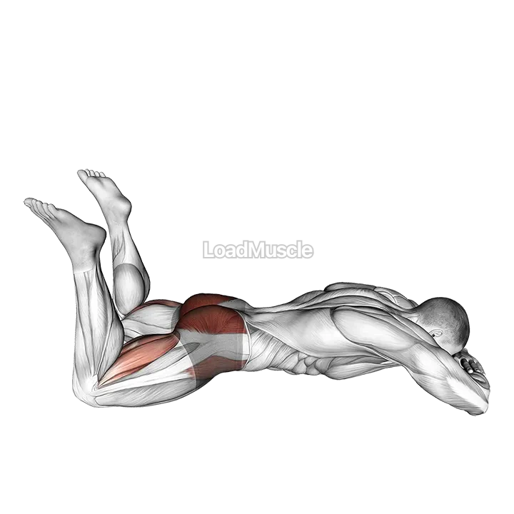 Lying Frog Kick demonstration