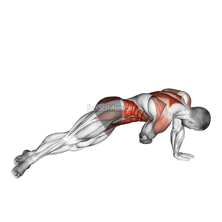 Side Plank Pull demonstration