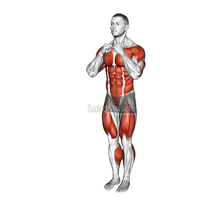 Punch Step Forward demonstration