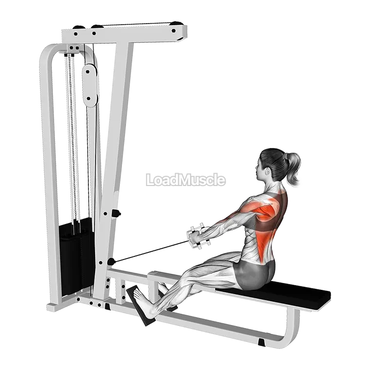 Cable Low Seated Row with V-bar demonstration