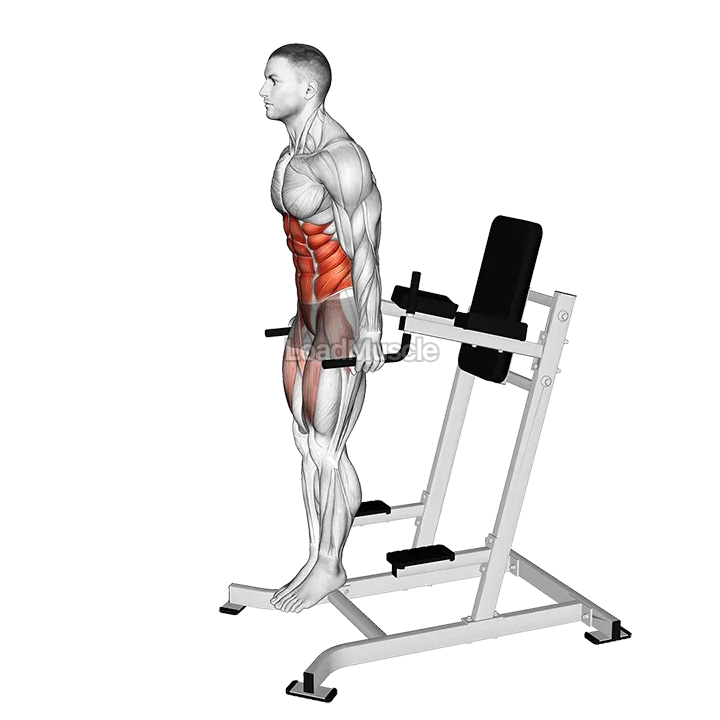 Ab Tuck demonstration