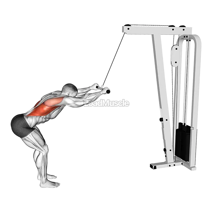 Cable Straight Arm Pulldown demonstration