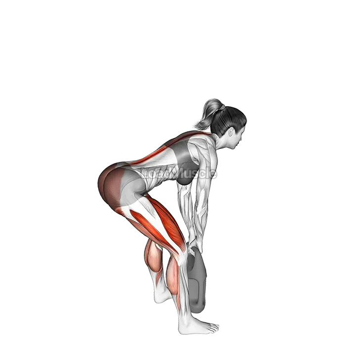 Bottle Weighted Romanian Deadlift demonstration