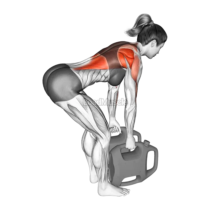 Bottle Weighted Bent Over Row demonstration