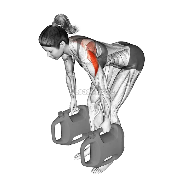 Bottle Weighted Bent Over Reverse Fly demonstration