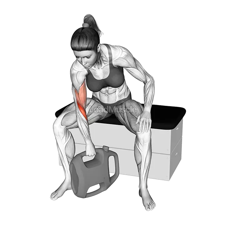 Bottle Weighted Reverse Grip Concentration Curl demonstration