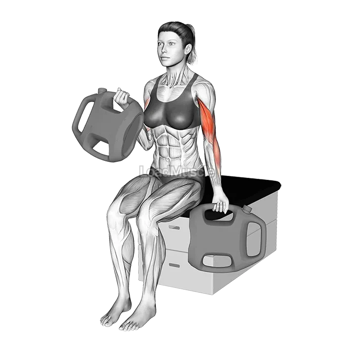 Bottle Weighted Alternate Biceps Curl demonstration