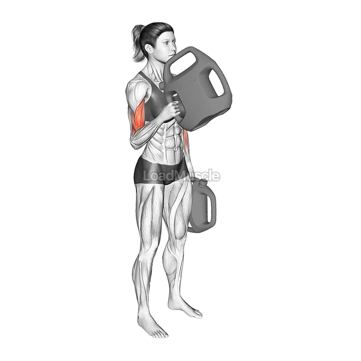 Bottle Weighted Alternate Hammer Curl demonstration