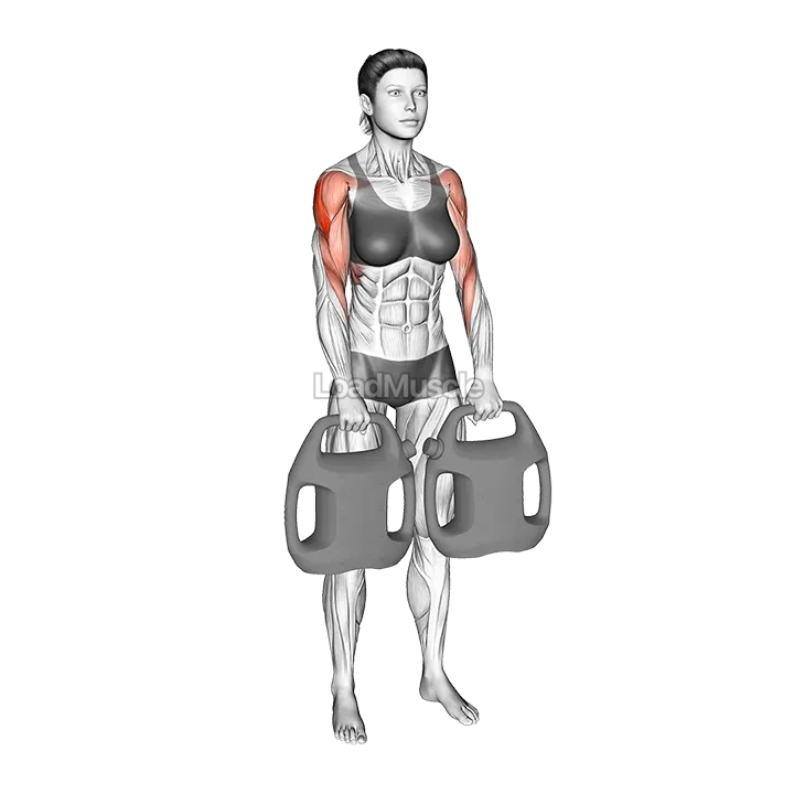 Bottle Weighted Upright Row demonstration