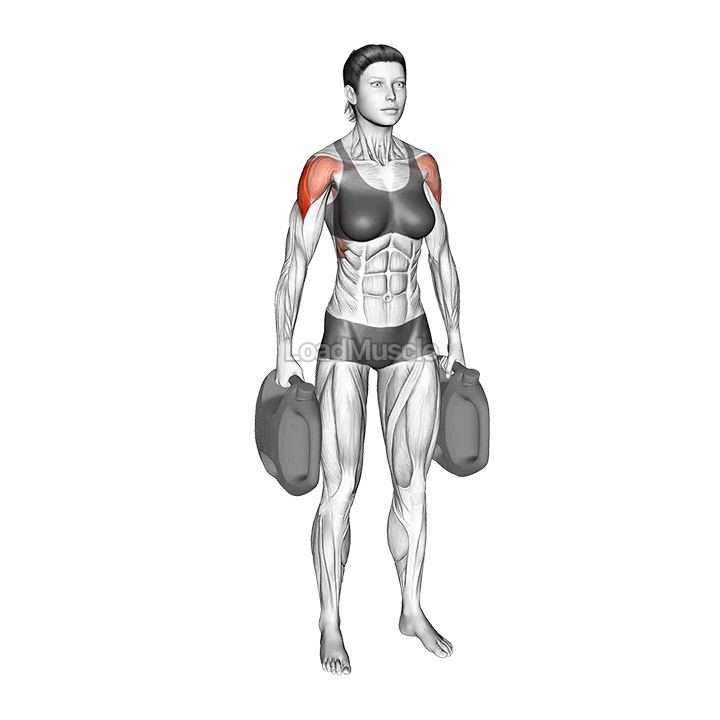 Bottle Weighted Lateral Raise demonstration