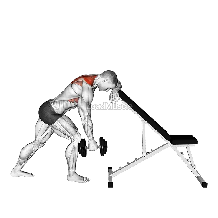 Dumbbell Unilateral Scapula Raise demonstration