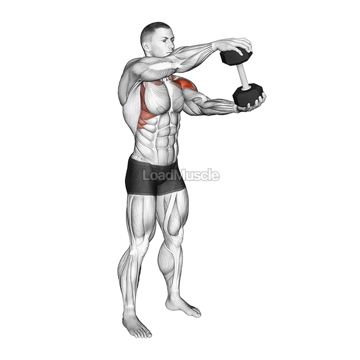 Dumbbell Standing Driver demonstration