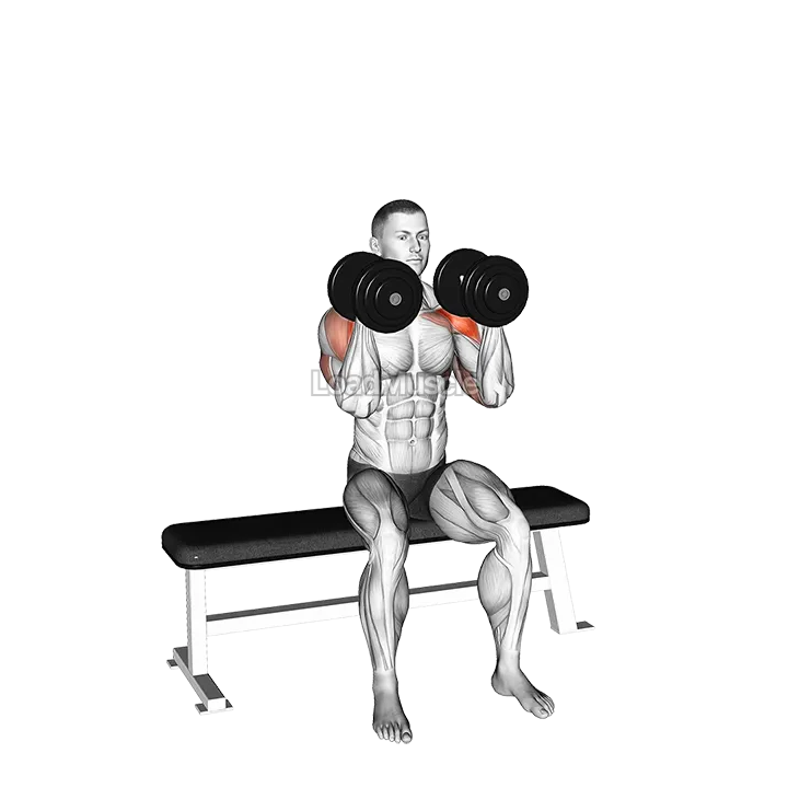 Dumbbell Seated Reverse Arnold Press demonstration