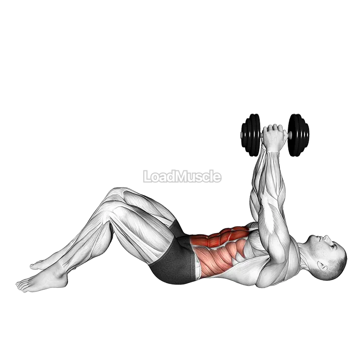 Dumbbell Straight Arm Crunch demonstration