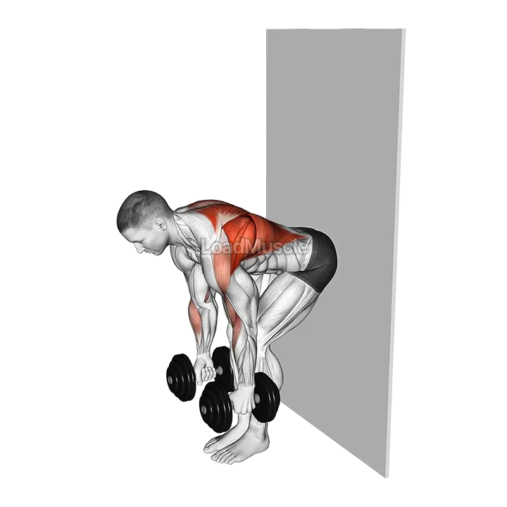 Dumbbell Bent Over Row against Wall demonstration
