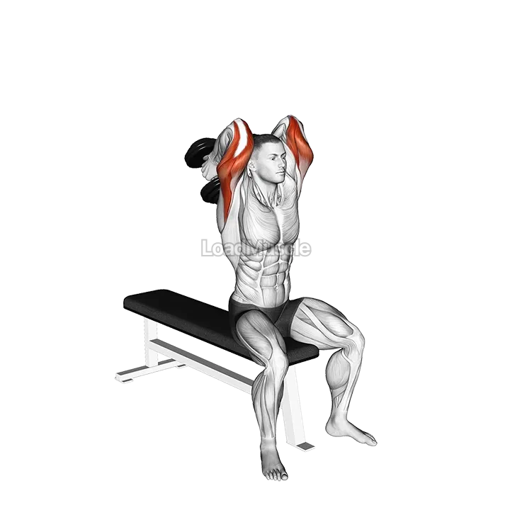 Dumbbell Seated Alternate Overhead Triceps Extension demonstration