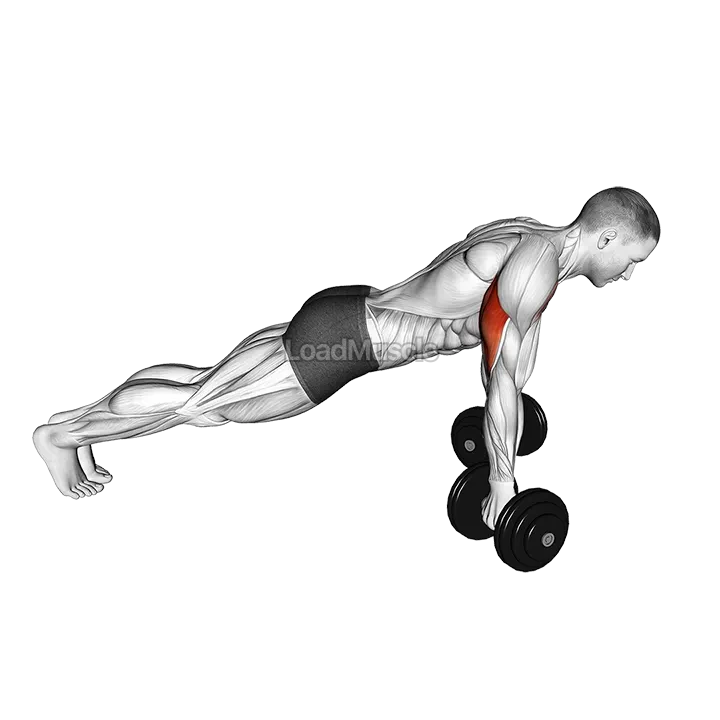 Dumbbell Reverse Push-up demonstration