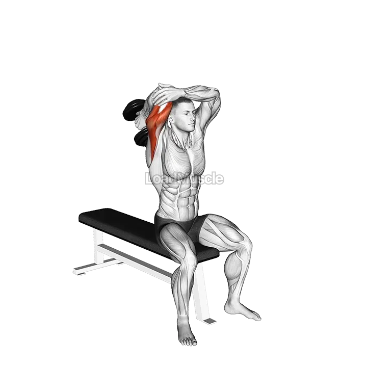 Dumbbell Seated Single Arm Overhead Triceps Extension demonstration