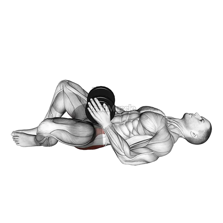 Dumbbell Frog Hip Thrust demonstration