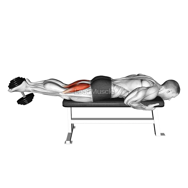 Dumbbell Lying Leg Curl demonstration