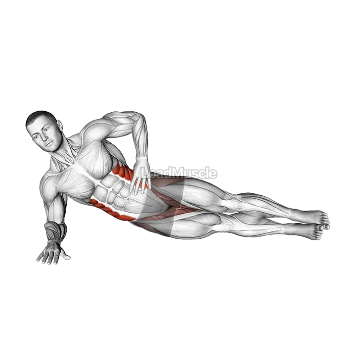 Side Plank Leg Lift (left) demonstration