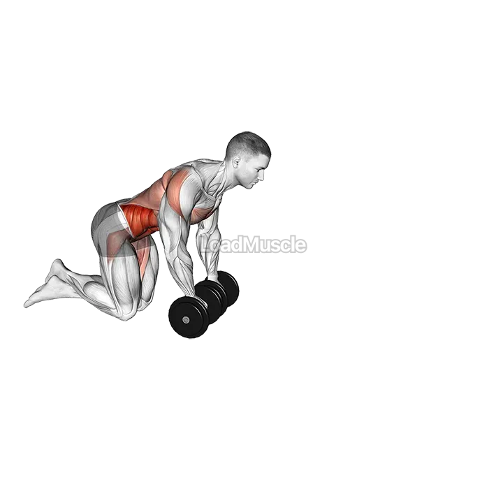 Dumbbell Rollout demonstration