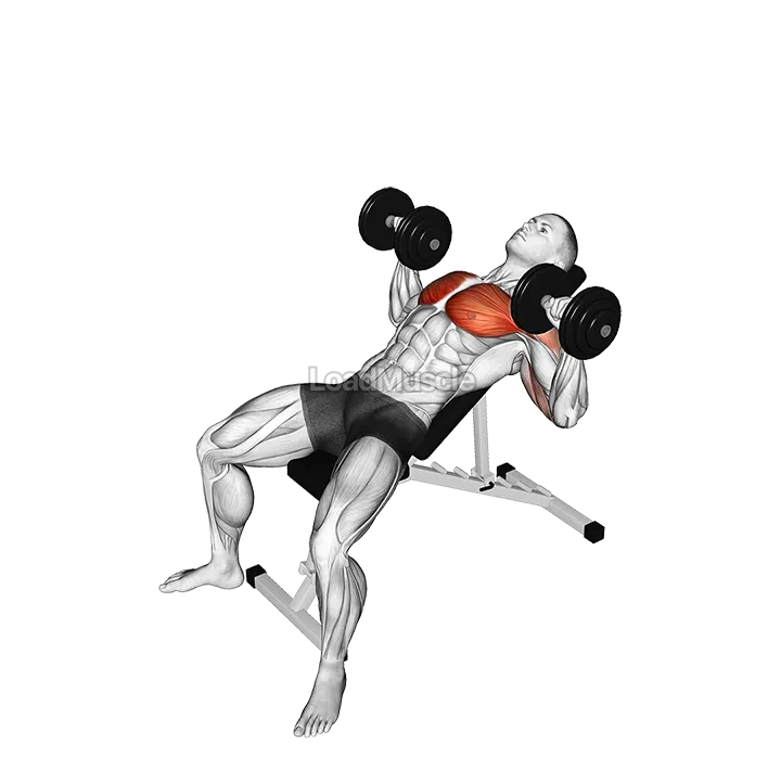 Dumbbell Incline Twist Press demonstration