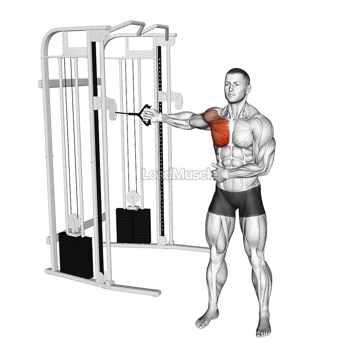 Cable Standing Single Arm Fly demonstration