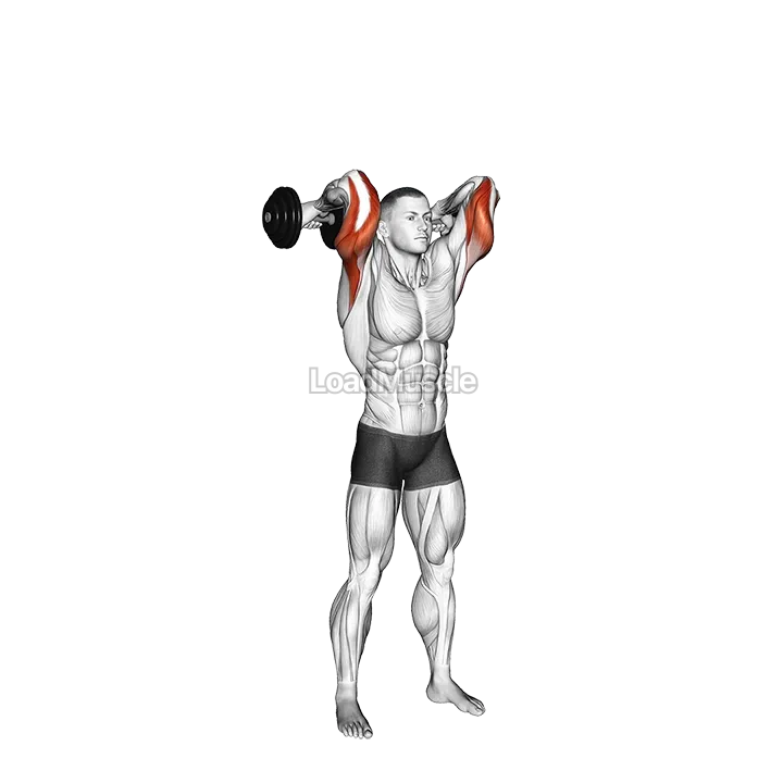 Dumbbell Standing French Press demonstration