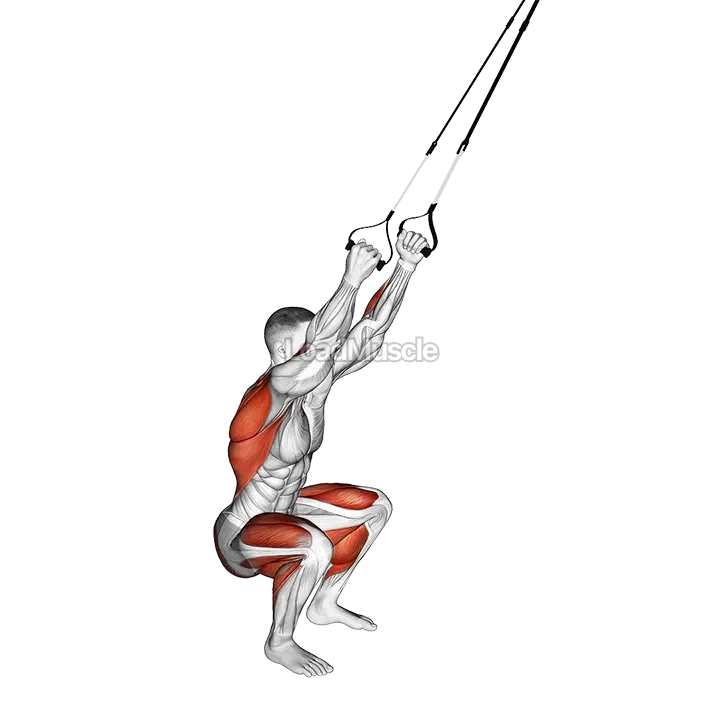 Suspender Squat Jump demonstration