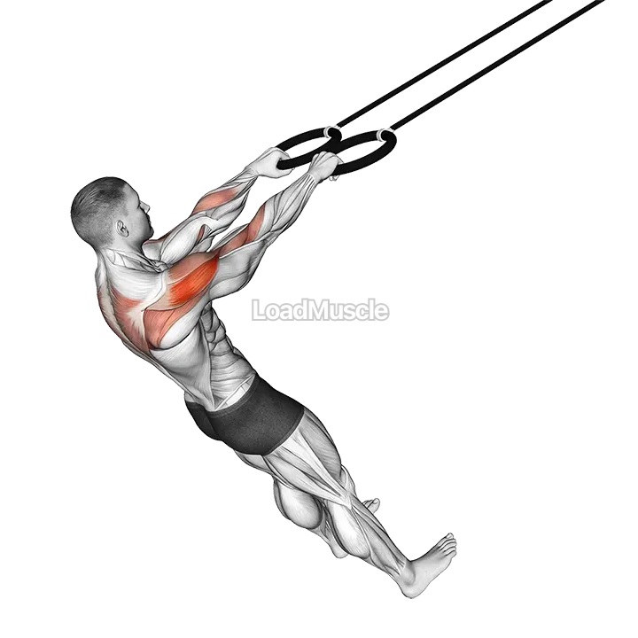 Ring Face Pull demonstration