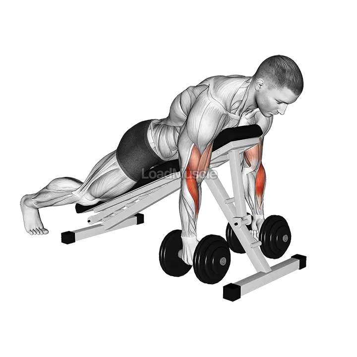 Dumbbell Prone Alternate Hammer Curl demonstration
