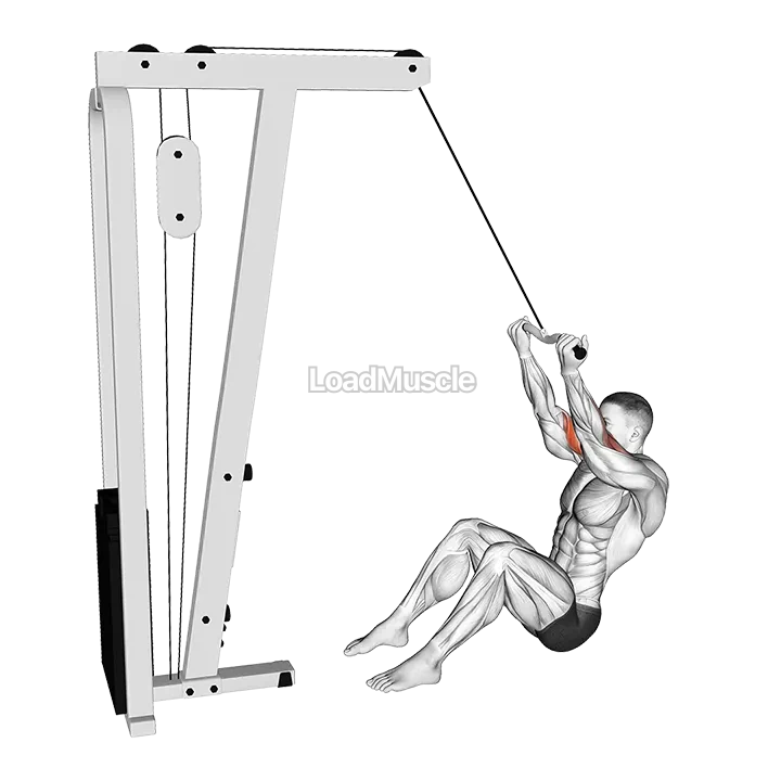 Cable Seated Overhead Curl (SZ Bar) demonstration