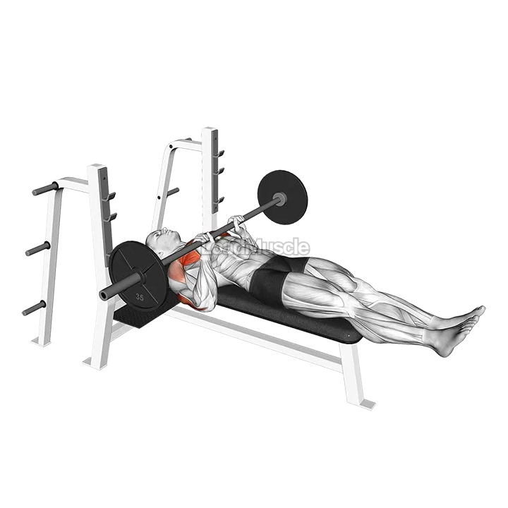 Barbell Close Grip Larsen Press demonstration