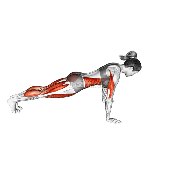 Chaturanga Dandasana (Four Limbed Staff Pose) demonstration