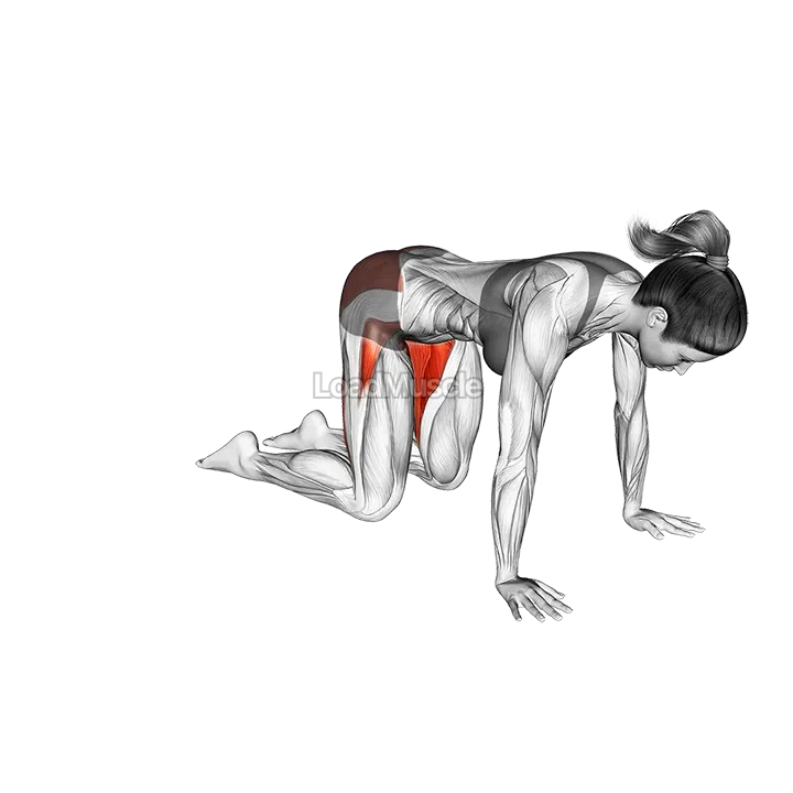 Frog Pose Mandukasana demonstration