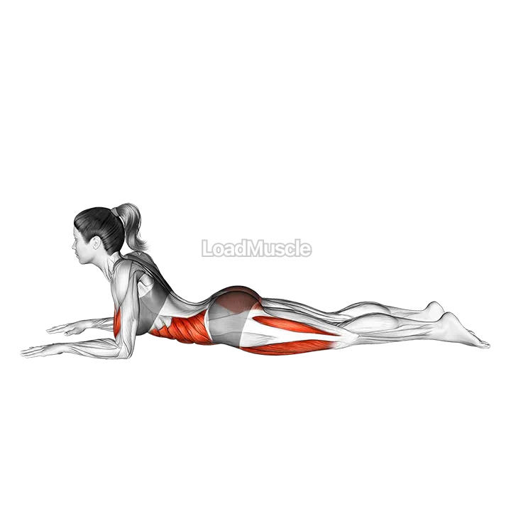 Half Frog Pose Ardha Bhekasana demonstration