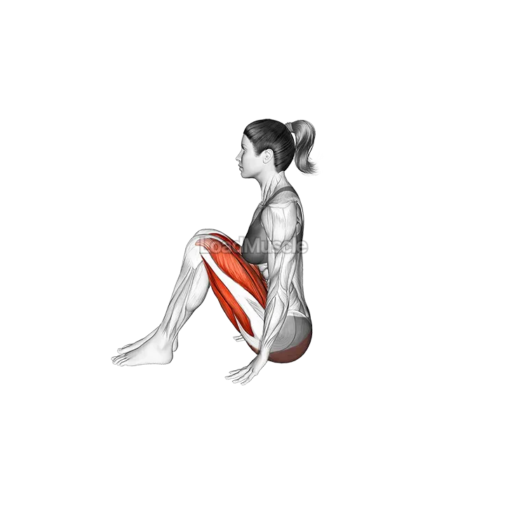 Half Boat Pose Ardha Navasana demonstration