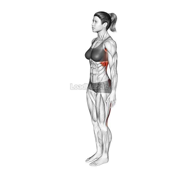 Eagle Pose Garudasana demonstration