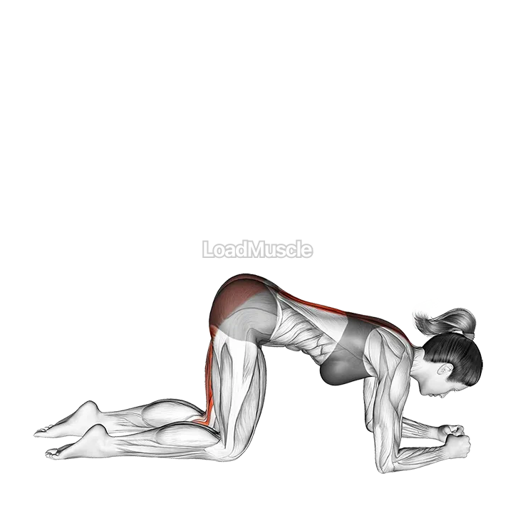 Basic-to-Cross Donkey Kick demonstration