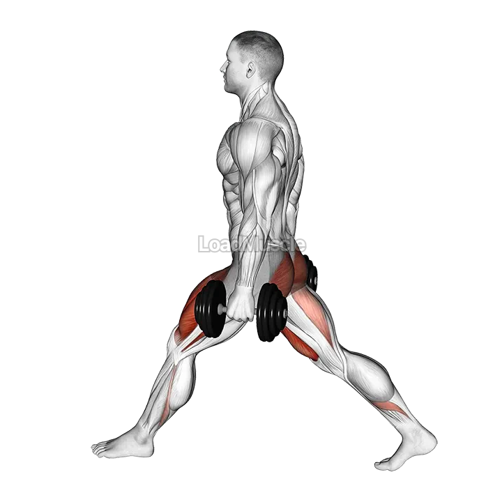 Dumbbell Low Split Squat demonstration