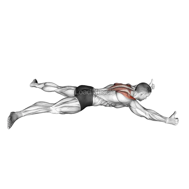 Lying Prone Y Raise demonstration