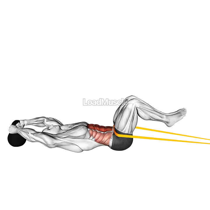 Resistance Band Reverse Crunch demonstration