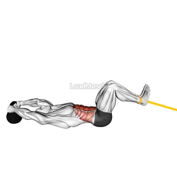 Resistance Band Reverse Crunch demonstration