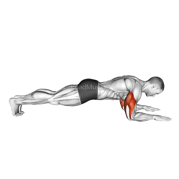 Bodyweight Triceps Extension from Plank Position demonstration