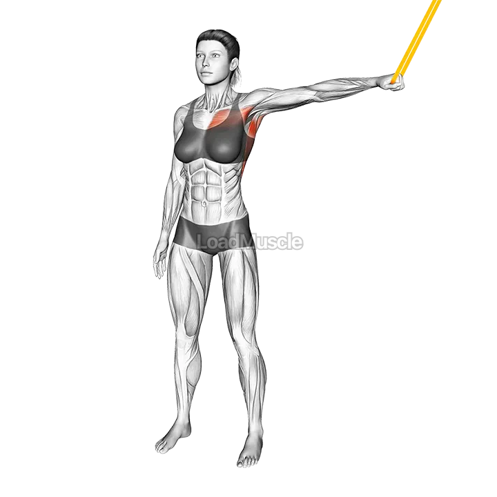 Resistance Band Shoulder Adduction demonstration