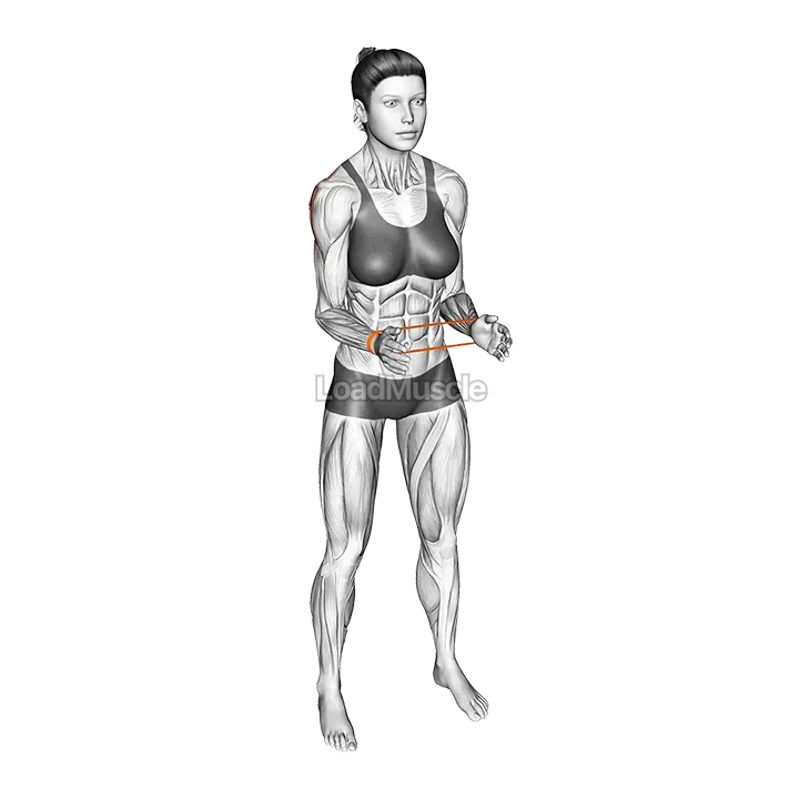 Resistance Band Standing External Rotation demonstration