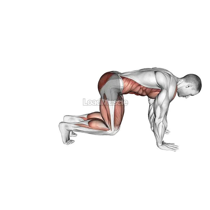 Bear Plank Kickback demonstration