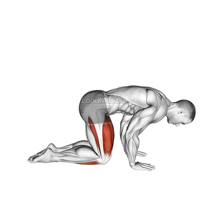 Yoga Vajrasana Thunderbolt Diamond Pose demonstration