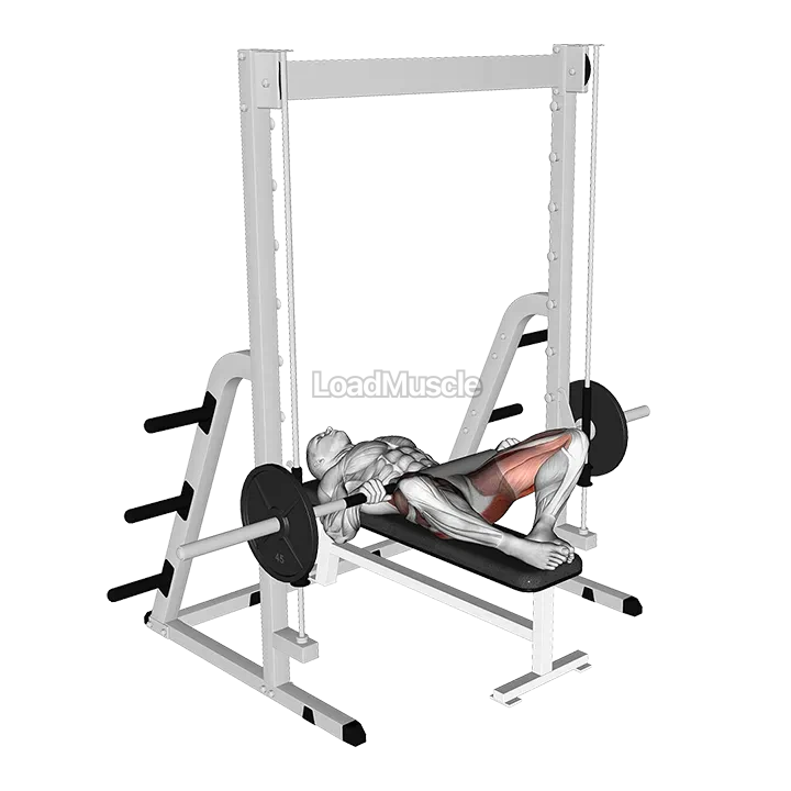Smith Frog Hip Thrust demonstration